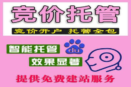 竞价代运营助力品牌崛起案例